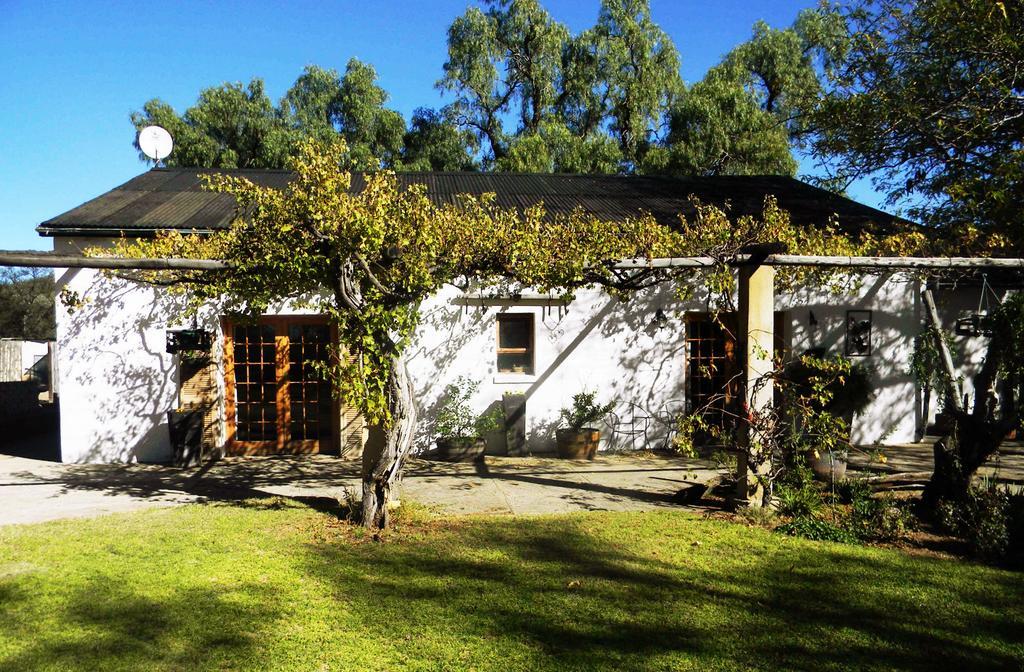Готель Witkrans Guest Farm Middelburg  Екстер'єр фото